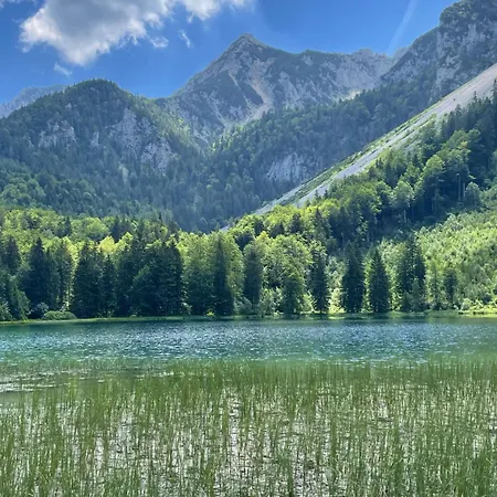 Apartamento Haus Hochhaeusler Schneizlreuth